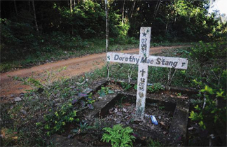 Dorothy's grave